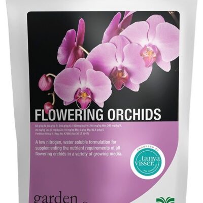DOY PACK FLOWERING ORCHIDS 500GR