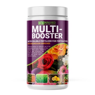 MULTI BOOSTER 1KG