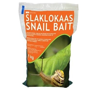 SNAIL BAIT 1KG