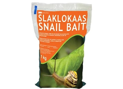 SNAIL BAIT 1KG