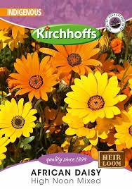 AFRICAN DAISY MIXED SEEDS BUMPER PACK