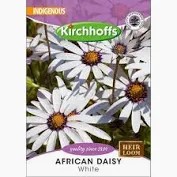 AFRICAN DAISY SILVERHILLS WHITE SEEDS