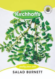 SALAD BURNETT SEEDS