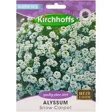 ALYSSUM SNOW CARPET SEEDS BUMPER PACK