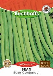 BEANS BUSH CONTENDER SEEDS