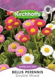 BELLIS DOUBLE MIXED SEEDS