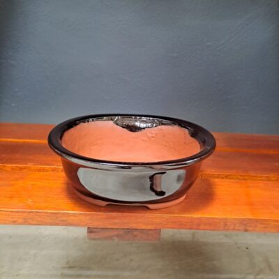 BONSAI POT EXTRA LARGE
