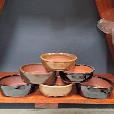 BONSAI POT SMALL