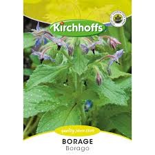 BORAGE SEEDS