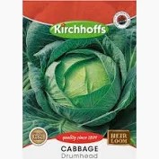 CABBAGE DRUMHEAD SEEDS