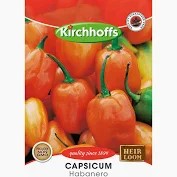 CAPSICUM HABANERO SEEDS