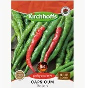 CAPSICUM RAJAH SEEDS