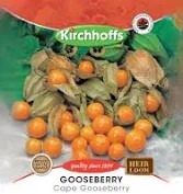 CAPE GOOSEBERRY SEEDS