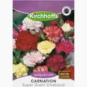 CARNATION SUPER GIANT CHABAUD SEEDS