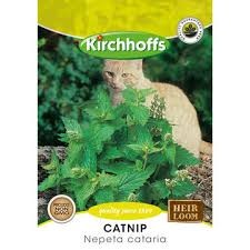 CATNIP SEEDS