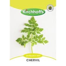 CHERVIL SEEDS