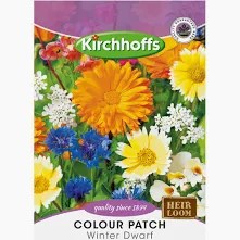 COLOUR PATCH WINTER DWARF SEEDS