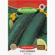CUCUMBER ASHLEY SEEDS
