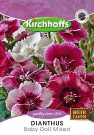 DIANTHUS BABY DOLL MIXED SEEDS