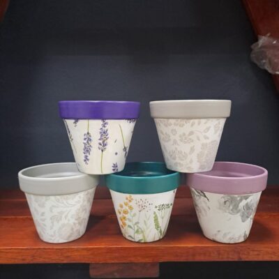 INDOOR COVER POT VARIOUS 8CM