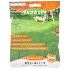 EVERGREEN BUMPER PACK SEEDS
