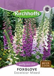 FOXGLOVE EXCELSIOR MIXED SEEDS