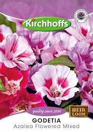 GODETIA AZALEA FLOWERED MIXED SEEDS