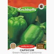 GREEN PEPPER CAPSICUM CALIFORNIA SEEDS