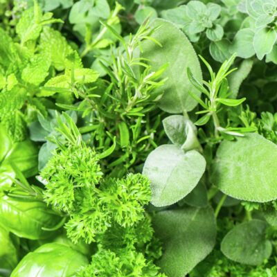 HERB MIX 6 PACK