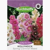 HOLLYHOCK SPRING CARNIVAL MIXED SEEDS