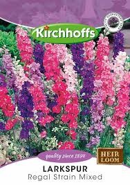LARKSPUR REGAL STRAIN MIXED SEEDS