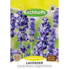 LAVENDER ANGUSTIFOLIA SEEDS