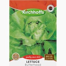 LETTUCE BUTTERHEAD SEEDS