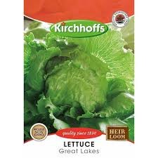 LETTUCE GREAT LAKES SEEDS