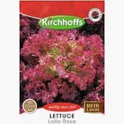 LETTUCE LOLLO ROSSA SEEDS