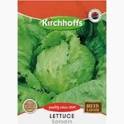 LETTUCE SALADIN SEEDS