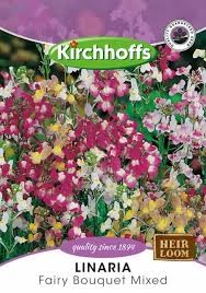 LINARIA FAIRY BOUQUET MIXED SEEDS