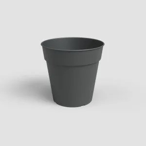 MADAGASCAR TO GROW POT ANTHRACITE