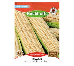 MEALIES KALAHARI EARLY BUMPERS SEEDS