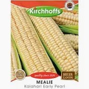 MEALIES KALAHARI EARLY PEARL SEEDS