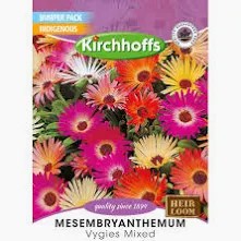 MESEMBRYANTHEMUM MIX SEEDS