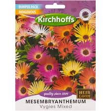 MESEMBRYANTHEMUM MIXED BUMPER SEEDS