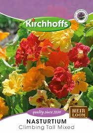 NASTURTIUM CLIMBING TALL MIX SEEDS