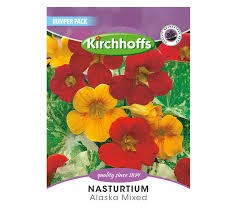 NASTURTIUM ALASKA BUMPER SEEDS