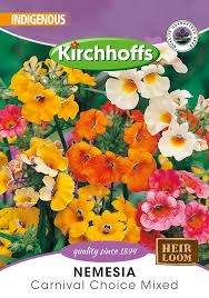 NEMESIA CARNIVAL CHOICE MIXED SEEDS