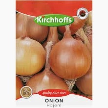 ONION HOJEM SEEDS