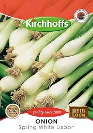 ONION SPRING WHITE LISBON SEEDS