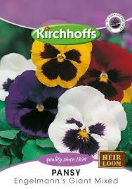 PANSY ENGELMANN'S GIANTS MIXED SEEDS