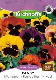 PANSY MAMMOTH PERFECTION MIXED SEEDS
