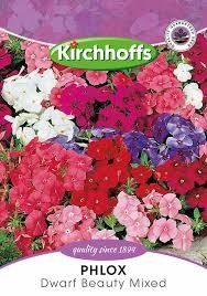 PHLOX DWARF BEAUTY MIXED SEEDS